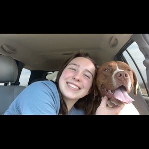 Meet your Posher, Baylee